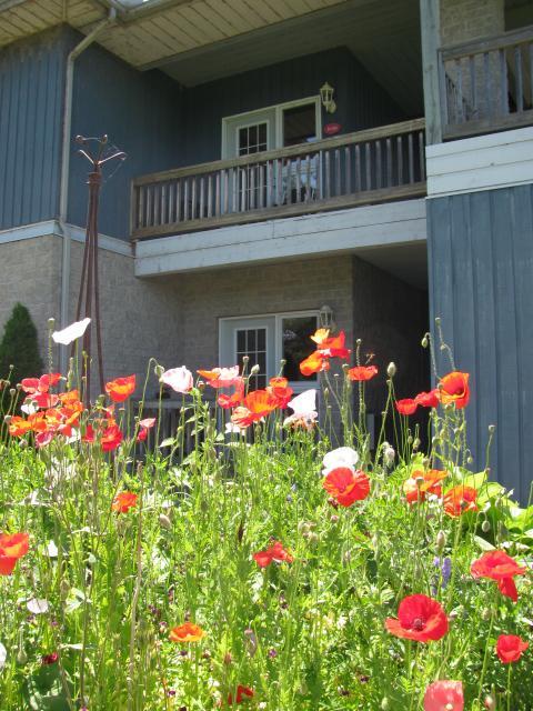 Highlands Four Season Resort Calabogie Kültér fotó